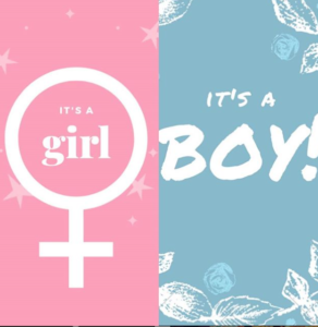 DNA Gender Blood Test